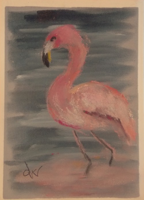 Flamingo Apr 20, 2013 5-20 AM