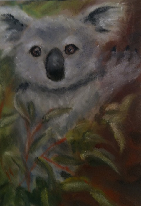 koala baby 2